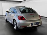 Volkswagen Beetle 1.2 TSI 6-Gang SHZ/CLIMA/TEMPOMAT - Volkswagen Beetle aus 2012