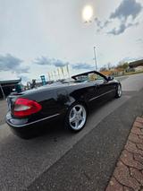 Mercedes-Benz CLK 500 AVANTGARDE AVANTGARDE - Mercedes-Benz CLK 500 Gebrauchtwagen