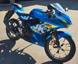 Suzuki GSXR-125 - SUZUKI VON 81 BIS 125 CCM