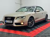 Audi A5 Cabriolet 3.0 TDI quattro - Audi A5: Cabrio, 3.0