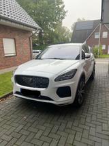 Jaguar E-Pace P250 R-DYNAMIC SE AWD Auto R-DYNAMIC SE - Jaguar E-Pace: R Dynamic Se