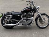 Harley-Davidson Sportster 1200 Custom sehr guter Zustand  - HARLEY-DAVIDSON 1999 SPORTSTER