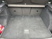 Cupra Terramar - Vorschau Bild 13