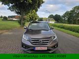 Honda CR-V Executive 4WD*Automatik*Kamera*Pano* - : Allradantrieb, Geländewagen