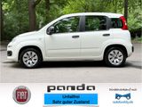 Fiat Panda More *UNFALLFREI, INKL. GARANTIE!* - Fiat Panda: I