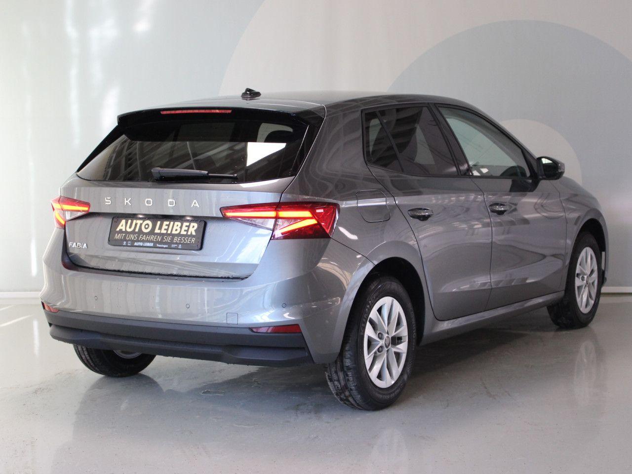 Skoda Fabia 1.0 TSI Selection RFK/PDC/APP/beheizbare