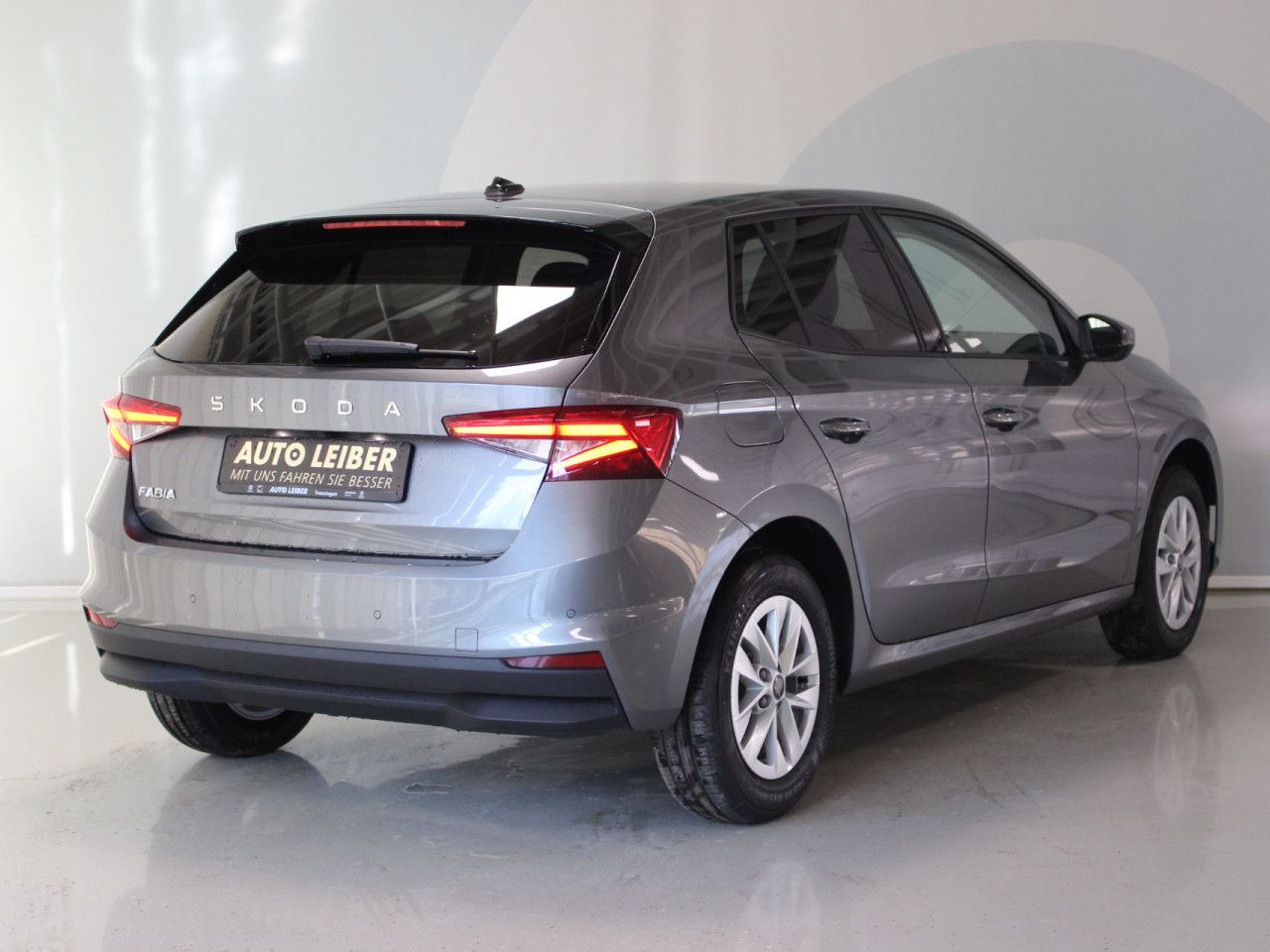 Fahrzeugabbildung SKODA Fabia 1.0 TSI Selection RFK/PDC/APP/beheizbare