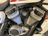 Harley-Davidson RH975 Nightster Custom - HARLEY-DAVIDSON VON 751 BIS 1000 CCM