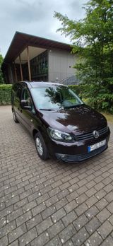 Volkswagen Caddy Maxi - VW Caddy Maxi von privat