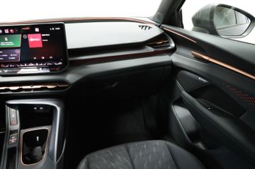 Cupra Terramar 2.0 4Drive VZ Pano 20 Zoll AHK 5.J.Gar.