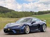Porsche Cayman 718 GT4/Clubsport/Carbon/PCCB/PDLS+/BRD - Porsche Cayman: Gt4