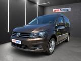 Volkswagen Caddy Maxi 1.4 TSI 7-Sitzer Android Apple PDC - 7-Sitzer Vans