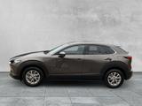 Mazda CX-30 SELECTION 2.0 SKYACTIV-G SHZ+360°KAMERA - graue Mazda CX-30