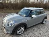 MINI Cooper Cooper Sonderdecor - MINI MINI von privat