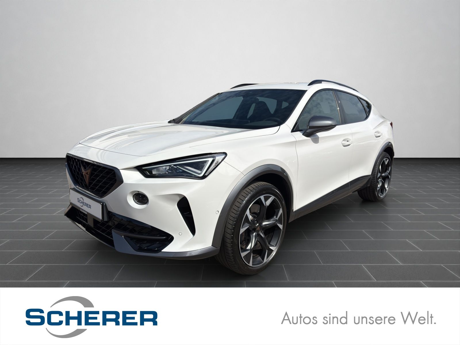 Cupra Formentor VZ 2.0 TSI LED NAVI KLIMA SITZHEIZUNG