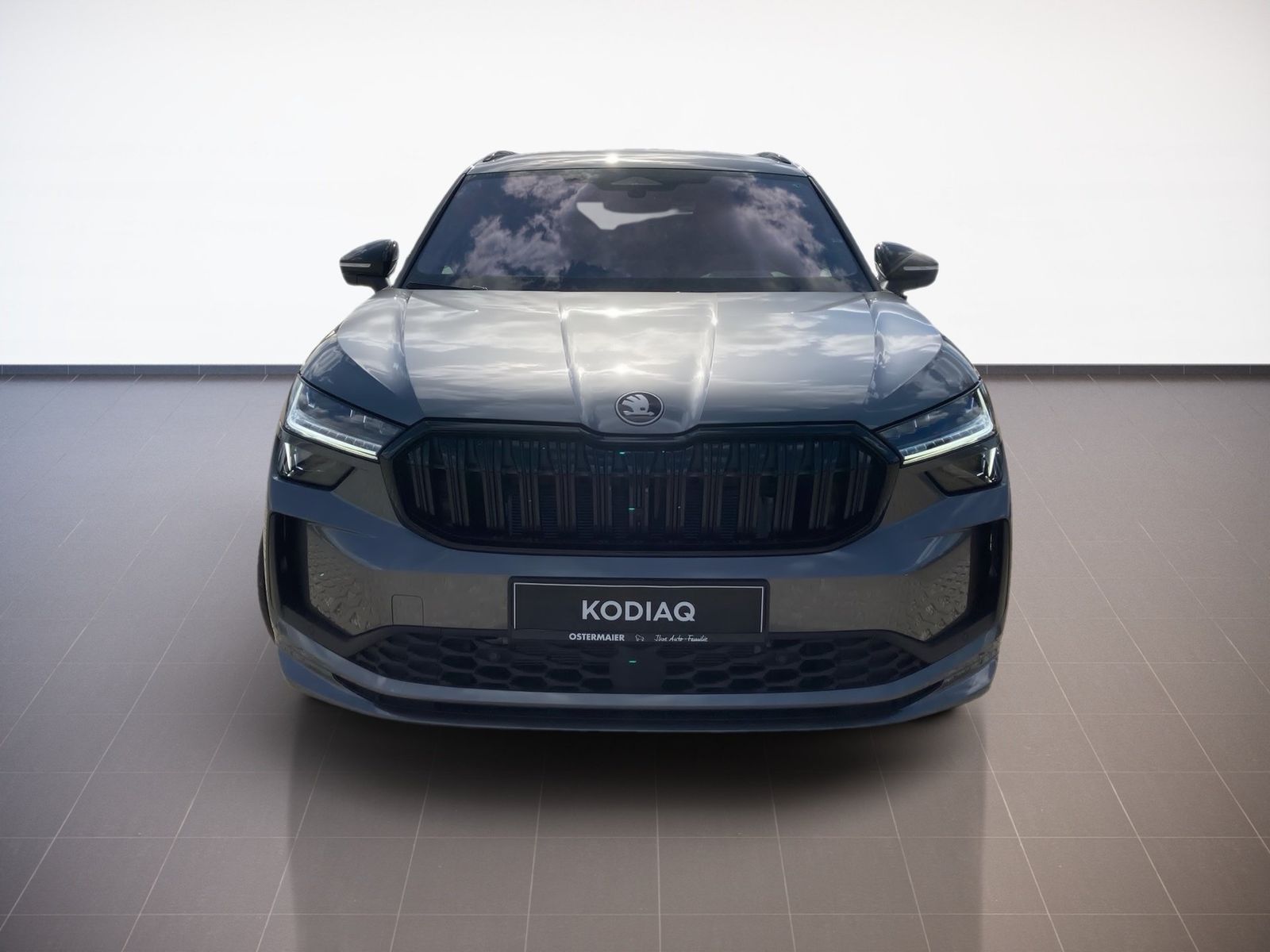 Skoda Kodiaq - Bild 3
