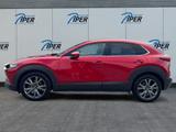 Mazda CX-30 SKYACTIV-X 2.0 M Hybrid 6AG AL-SELECTION A - scheckheftgepflegte Mazda CX-30