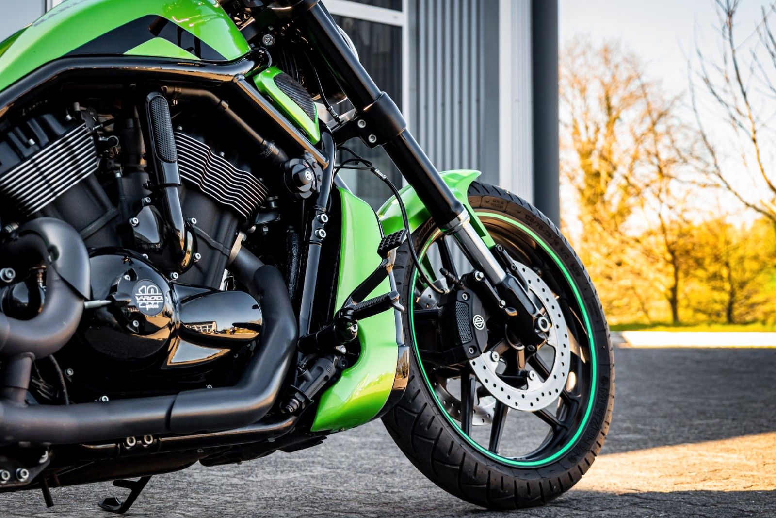 Fahrzeugabbildung Harley-Davidson NIGHT ROD SPECIAL VRSCDX - 69-CUSTOMS