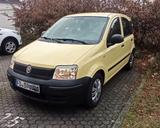 Fiat Panda  169 Gebraucht unfallfrei - Fiat Panda 169