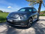 Volkswagen Beetle TSI DSG  Xenon, Pano, Leder, Fender, Alu - gebrauchte VW Beetle aus dem Jahr 2015