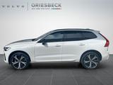 Volvo XC60 T8 R Design Recharge WiPa*LED*Navi* - Volvo: X60