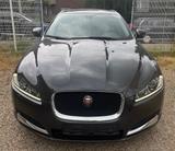 Jaguar XF Sportbrake 2.2 Diesel /KLIMA/XENON / LEDER * - Jaguar XF in Duisburg