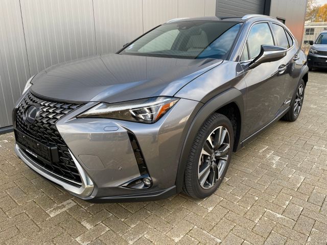 Lexus UX 250h E-FOUR Luxury Line 360°/MARK LEVI/S-DACH