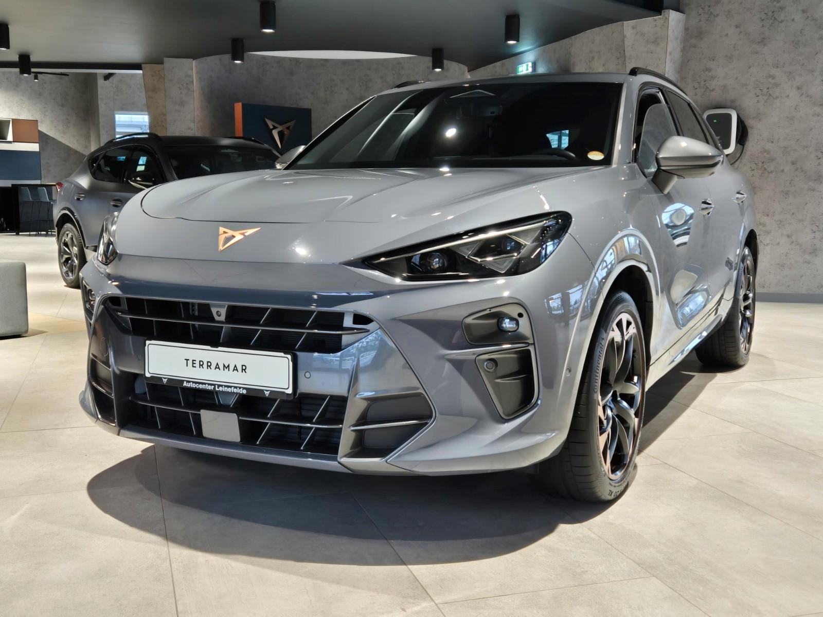 Cupra Terramar 2.0 TSI 4Drive 265 PS 7-Gang-DSG