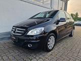 Mercedes-Benz B 170 2.Hd*Xenon*SHZ*Tempom.*Leder*TÜV-Neu - gebrauchte Mercedes-Benz B 170 aus dem Jahr 2009