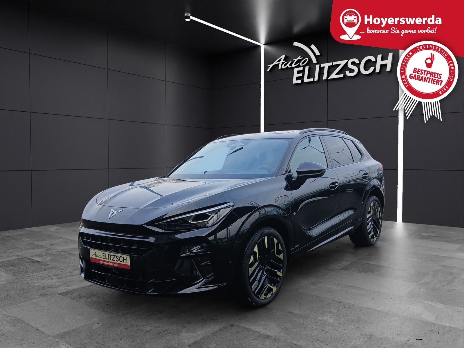 Fahrzeugabbildung CUPRA Terramar VZ e-Hybrid Tribe Matrix Sennh.AHK