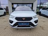 Cupra Ateca VZ 2.0 TSI 4X4 DSG*AHK*Leder*MF-Lenkrad* - mit Benzin-Antrieb: 2.0