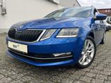 Skoda Octavia Style, Full-Link, SR+WR, LED - Skoda Octavia: Winterreifen