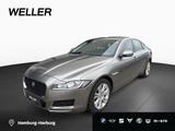 Jaguar XF 20t Prestige Aut Navi,LED,Leder,Glasdach,18" - Jaguar mit Benzin-Antrieb: Grau