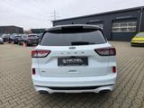 Ford Kuga*St-Line X*Led*Pano*Ahk*Kamera*HuD*Voll* - Ford Kuga Gebrauchtwagen in Münster