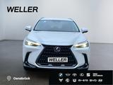 Lexus NX 350h Executive Line *Bi-LED*360°*el Sitze*SHZ - gebrauchte Lexus NX 350h aus dem Jahr 2024