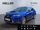 Lexus UX 250h F-SPORT *LED*HUD*Levinson*Leder*360°*SHZ - Lexus Gebrauchtwagen von 2022