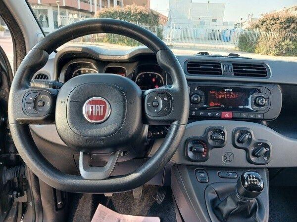 Fiat FIAT PANDA HYBRID 1.0 FireFly 70 CV S&S CITY LIF