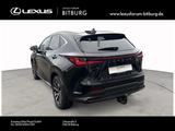 Lexus NX 450 360° Leder Memory Sitzbelüftung - schwarze Lexus NX-Serie