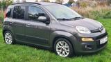 Fiat Panda Lounge*1.HD*Scheckh.*8fach Alu*Isofix*PDC* - gebrauchte Fiat Panda aus dem Jahr 2016