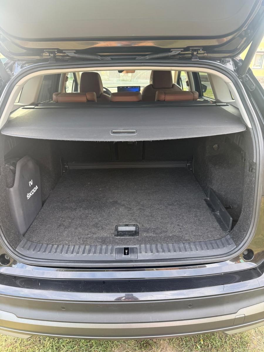 Skoda Enyaq 80 Matrix Leder Side Assist Batterie Zerti