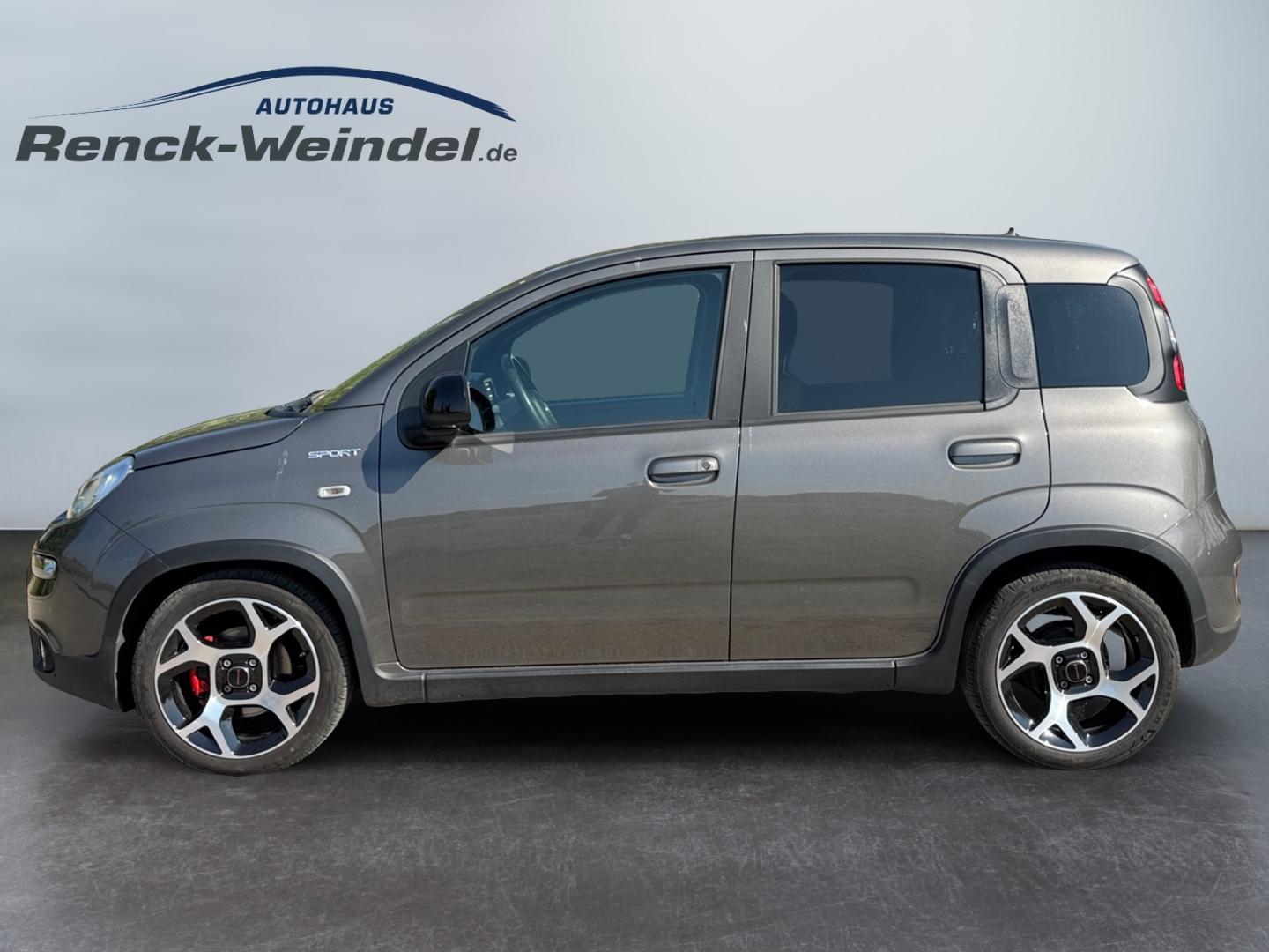 Fiat Panda Sport 1,0 GSE Klima Sportpaket DAB PDC Ber