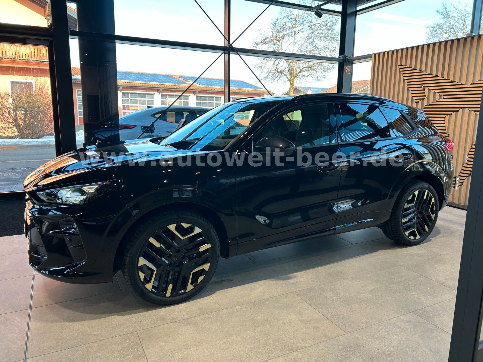 Cupra Terramar - Bild 2