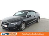 Audi A5 2.0 TDI quattro*XENON*TEMPO*PDC*SHZ*KLIMA* - Audi A5: TDI
