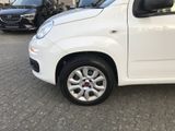 Fiat Panda 0.9 TwinAir Natural Power Easy , Klima, - Fiat Panda: Twin