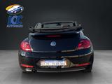 Volkswagen Beetle Cabriolet Sound Bi-Xenon, AppleCar Play, - Volkswagen Beetle: Cabrio
