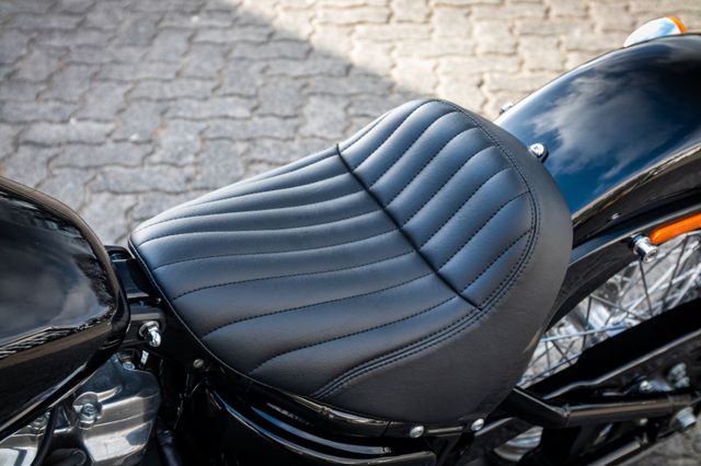Fahrzeugabbildung Harley-Davidson SOFTAIL STANDARD FXST - JEKILL&HYDE - SPEICHEN