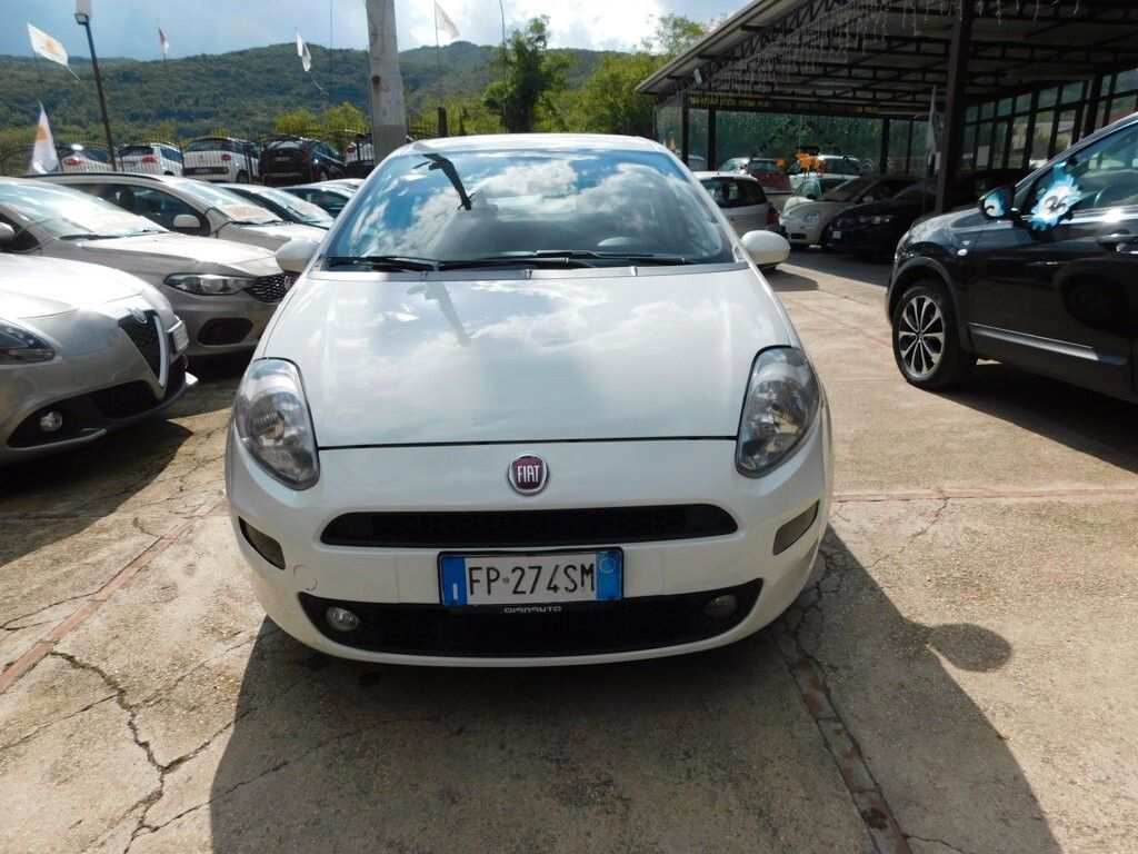 Image of Fiat Punto