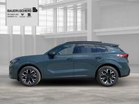 Cupra Terramar - Vorschau Bild 2