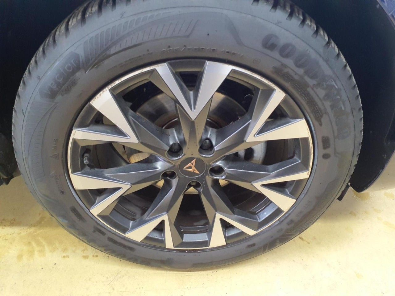 Cupra Terramar - Bild 14