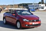 Volkswagen Golf VI*1.2TSI*Cup*Cabrio*PDC*Klima*SHZ*1.Hand - Volkswagen Golf mit Benzin-Antrieb: Cabrio, 1.2